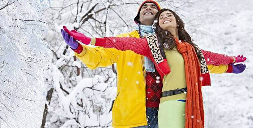 Hotel Rajhans Manali Tour & hotel booking packages 